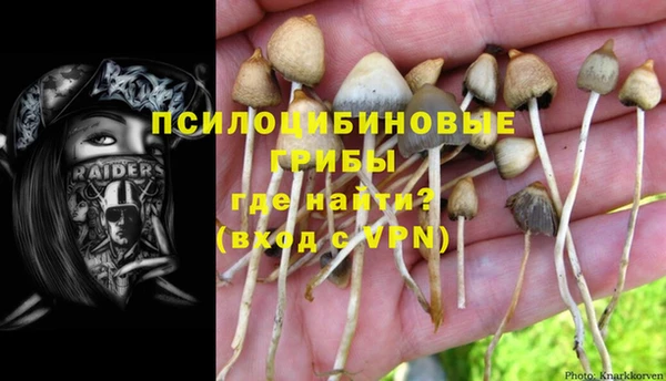 PSILOCYBIN Беломорск